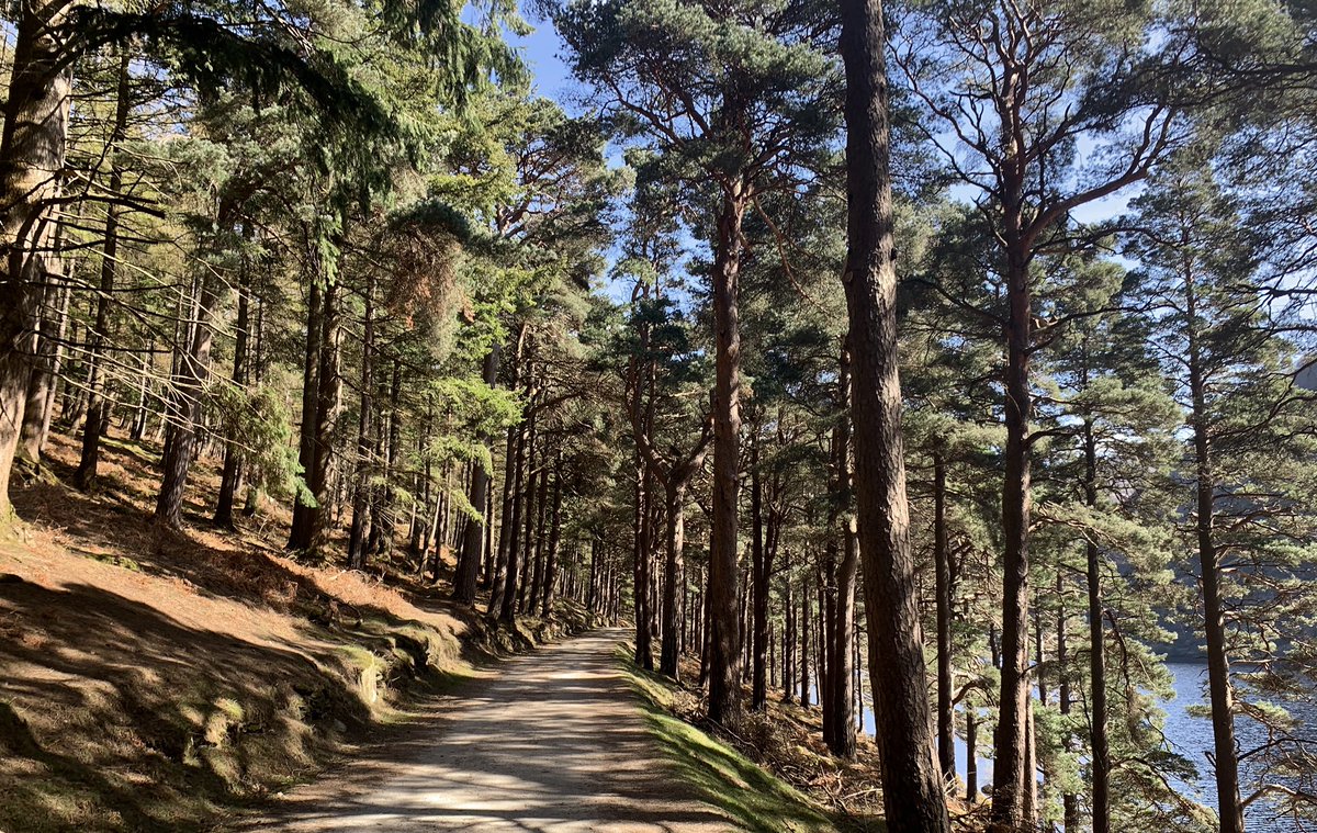 JuJuJay3's tweet photo. What a fabulous sunny morning in Glendalough shooting a film for @liveypb and their new app
Thanks to @phat_meek for his fantastic camera 🎥 work & a film I can’t wait to see.
#Glendalough #jujujay #wicklowmountains #dji #minerstrack #thespinc #sunnymorning #liveypb https://t.co/TiaQy7dGx9