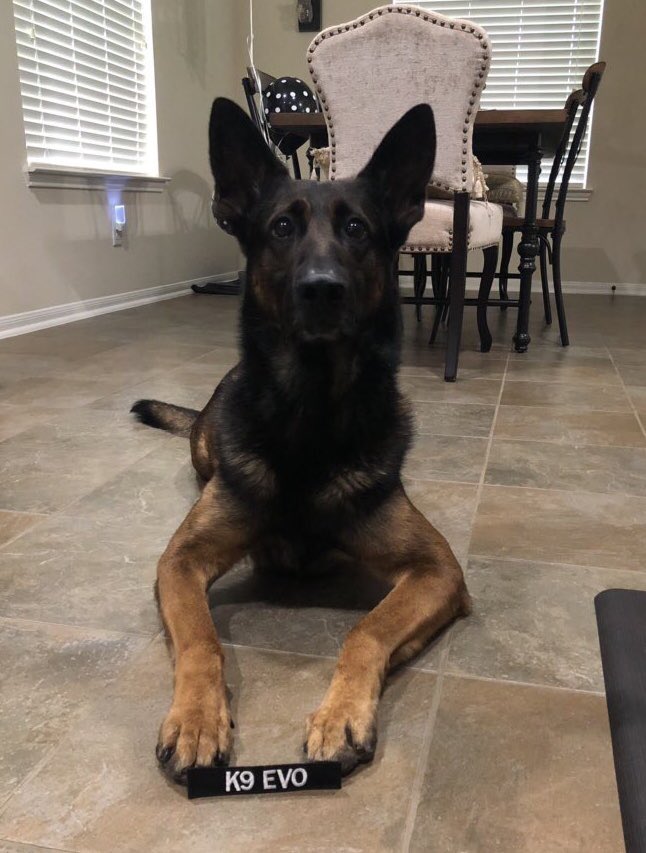 Love4PoliceDogs tweet picture