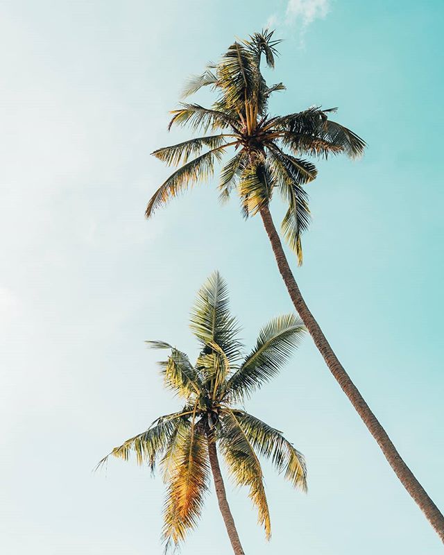 _moredrift's tweet photo. Our vacation to Hawaii is coming up soon. 🌴
-
My wife and I got married there and we haven't been back since that amazing week. Our jobs and life have become very busy since then, which is okay because we had a baby boy, who is now a very energetic 2… https://t.co/9LXwGziZJV https://t.co/rbVKZaAsA8