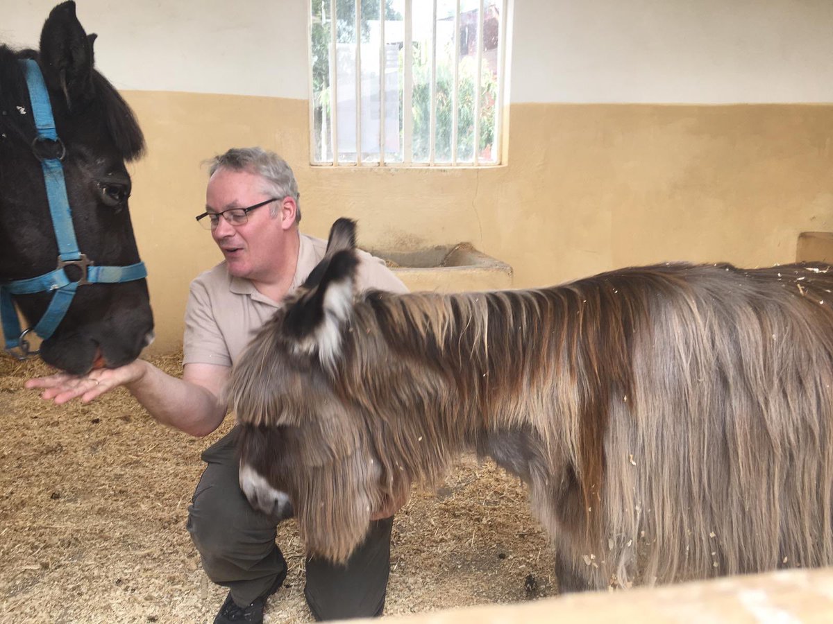StephenAlbone's tweet photo. Spending some time with Chocolate &amp; Tedele, resident #Humane #Educators at The @SPANA animal handling centre in Bishoftu, Ethiopia. https://t.co/5ROhDACt5z