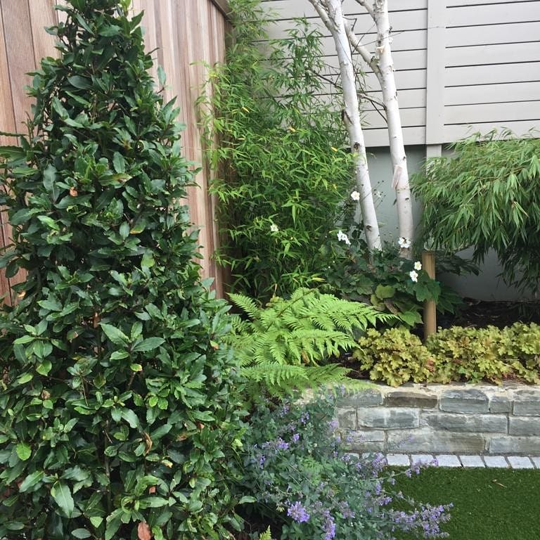 CreativeGarden8's tweet photo. Textured mature #planting with contrasting greens can be a great addition to any garden 🌲🌿👌
#BespokeGardenSolutions #Ireland #gardendesign #creativegardens #irishgardens #gardens 
https://t.co/9R3end7TCx https://t.co/R56c2eyXY5