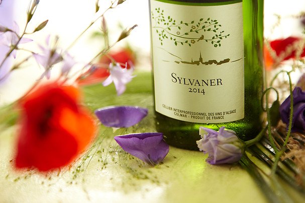 AlsaceWines's tweet photo. Grape of the Week: Alsace Sylvaner!

Sylvaner is the grape of Spring, with flavours of white blossom and crisp orchard fruits it is the perfect wine to take along to a sunny picnic!

#DrinkAlsace https://t.co/6CCcjTMiNM