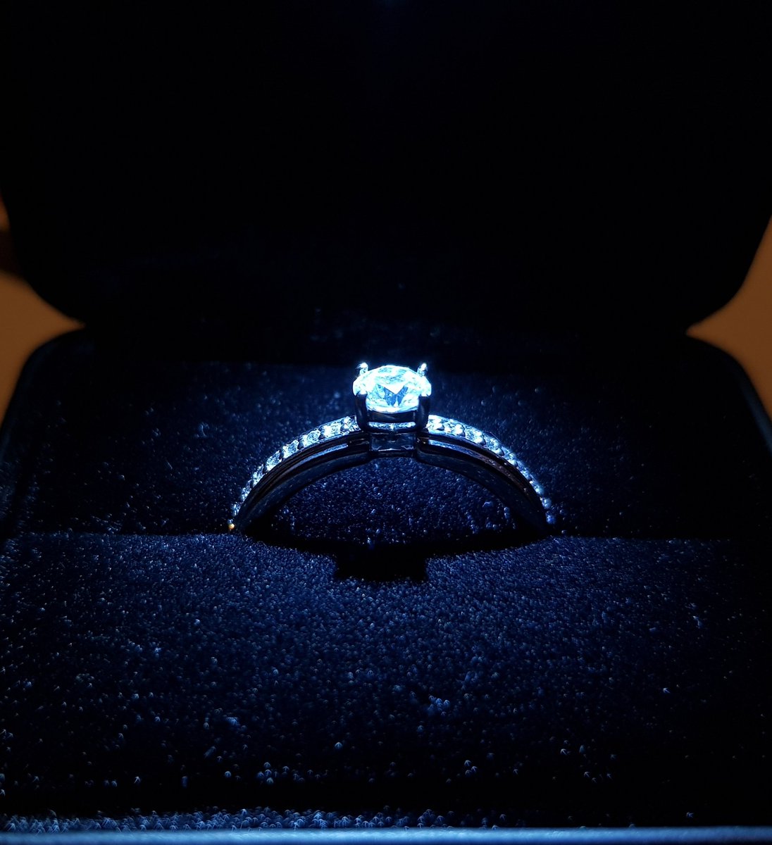alexxrovi's tweet photo. She said YES! https://t.co/XNvXGmKJPm