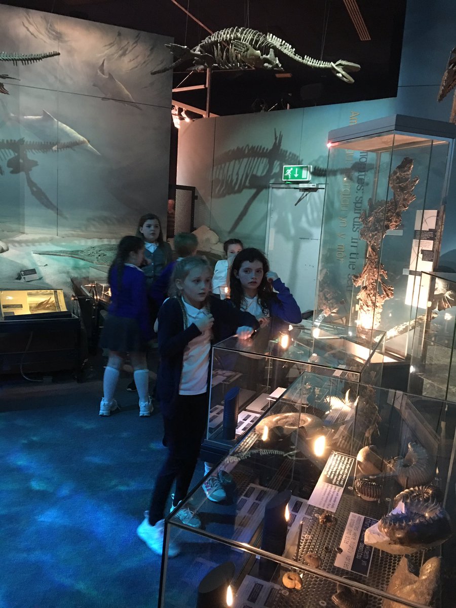 mrsglloyd's tweet photo. @YsgolMaesglas Lots of fossils and interesting rocks... including part of a meteorite that was bigger than Lauren https://t.co/zzT7Nf7mgV