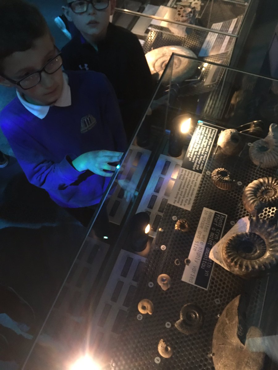 mrsglloyd's tweet photo. @YsgolMaesglas Lots of fossils and interesting rocks... including part of a meteorite that was bigger than Lauren https://t.co/zzT7Nf7mgV