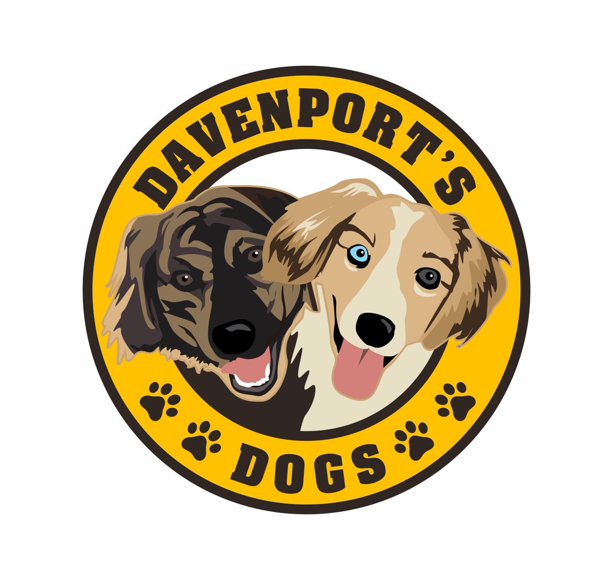 DavenportsDogs's tweet photo. New business! #Custom, handmade wood &amp; metal items all related to #Dogs! Check out our #etsy shop where we’ll be posting more products soon. Dog bowl stands, signs, and more! 🐶🐶🐶
#tampa #tampabay #dogsoftampabay #dogsoftampa #tampadogs #woodworking #metalworking #handmade https://t.co/sYEY9z8IgU