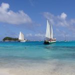 Photo by Discover SVG (@DiscoverSVG)
