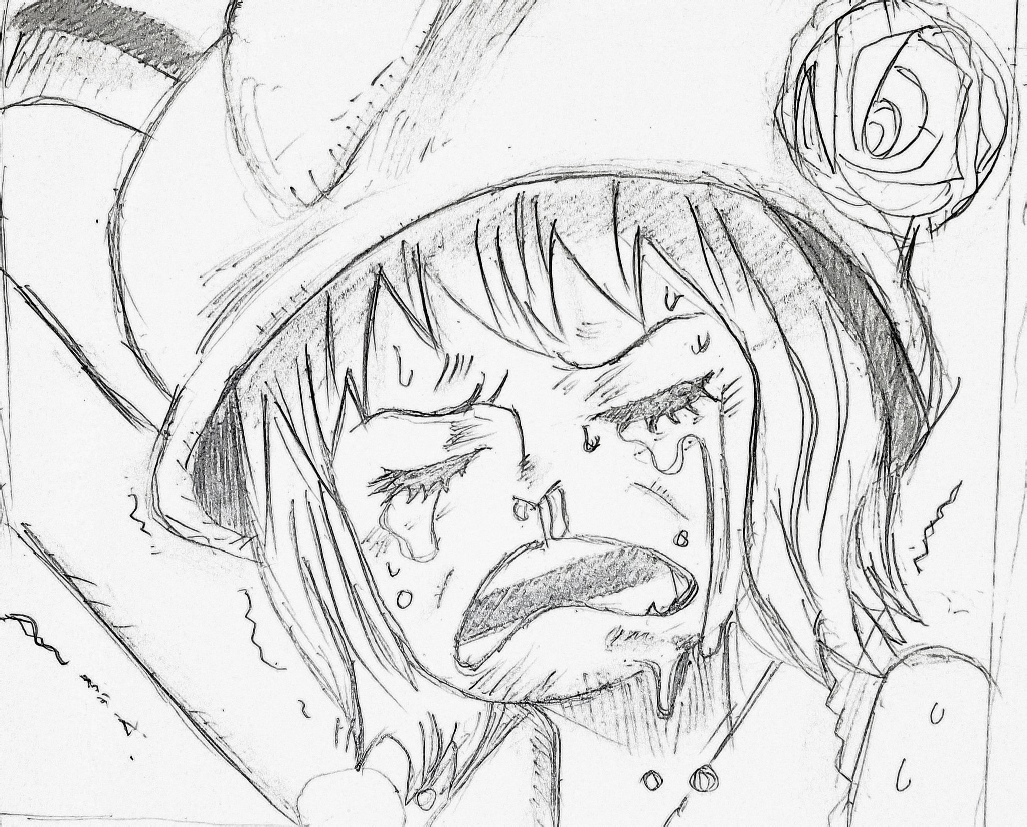 つっきー だがら ありがとう って 言ってあげで あーここ サンジの事気づかうキャロットの優しさ ペドロを思い堪えきれない涙 キャロット描きました イラスト好きな人と繋がりたい イラスト 落書き ワンピース好きと繋がりたい