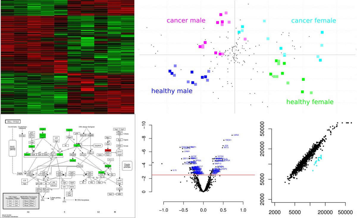 sciomics's tweet photo. Are you interested in anti-PD1 therapy response? In signalling pathway analysis? In PTM screening? Meet Camille and Kristin at the #AACR19 and have a chat about the latest results from our #scioDiscover #proteinprofiling #biomarker https://t.co/ygfe7dOAaI