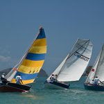 Photo by Discover SVG (@DiscoverSVG)