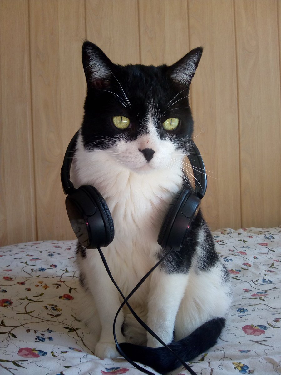 Bubu tweet media