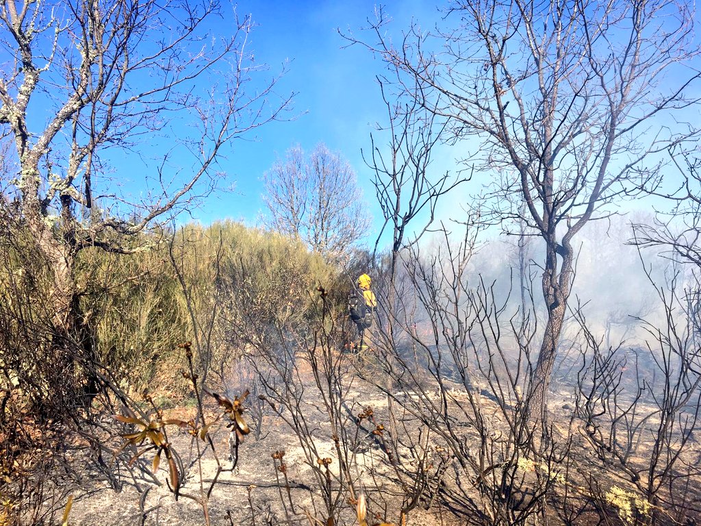 briftabuyo's tweet photo. 16:50📸📸 seguimos trabajando sobre perímetro⛏️🌳🔥 en #IFLosacio  en #Zamora  para intentar cerrarlo junto a medios del #PlanINFOCAL  @112cyl +#AAMM  los #IIFF nos tienen época del año #BRIF -i #BBFF https://t.co/r9blemwOtt