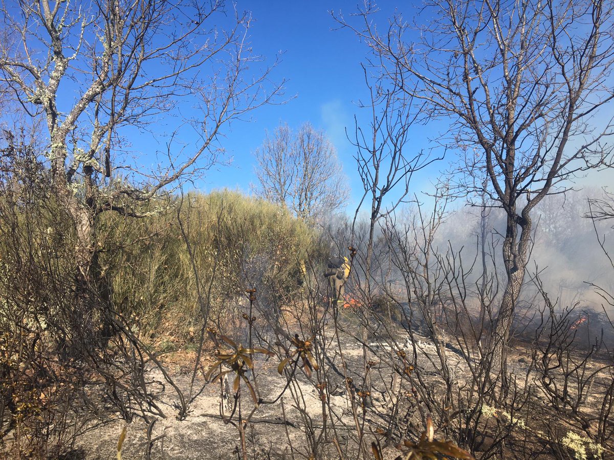 briftabuyo's tweet photo. 16:50📸📸 seguimos trabajando sobre perímetro⛏️🌳🔥 en #IFLosacio  en #Zamora  para intentar cerrarlo junto a medios del #PlanINFOCAL  @112cyl +#AAMM  los #IIFF nos tienen época del año #BRIF -i #BBFF https://t.co/r9blemwOtt