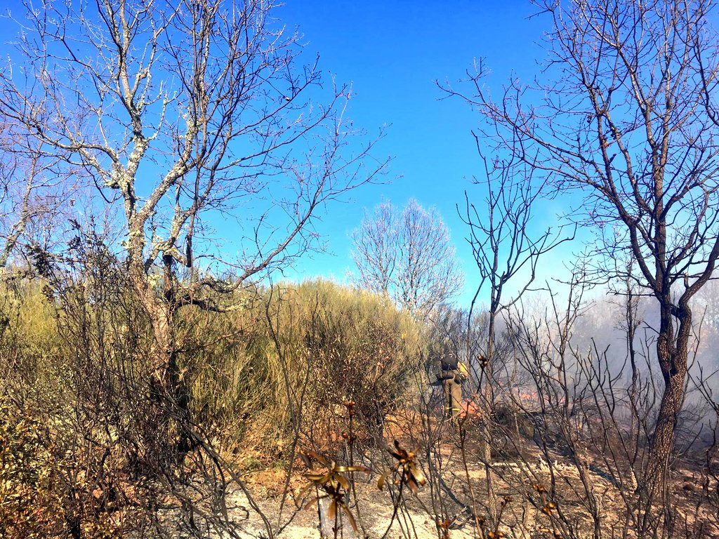 briftabuyo's tweet photo. 16:50📸📸 seguimos trabajando sobre perímetro⛏️🌳🔥 en #IFLosacio  en #Zamora  para intentar cerrarlo junto a medios del #PlanINFOCAL  @112cyl +#AAMM  los #IIFF nos tienen época del año #BRIF -i #BBFF https://t.co/r9blemwOtt