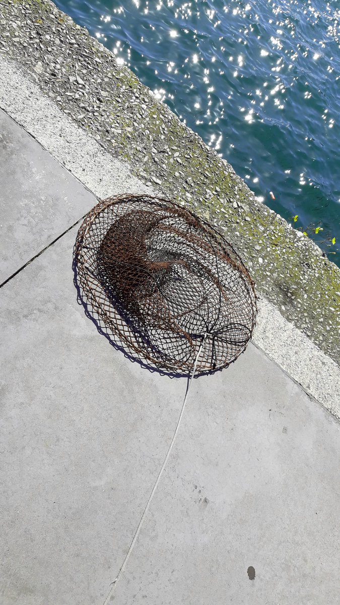 Apez140's tweet photo. #Momentos
Sencillos de la Bahía.
Un #Retel reposa sobre un Muelle... https://t.co/7YsNgOp8Rq