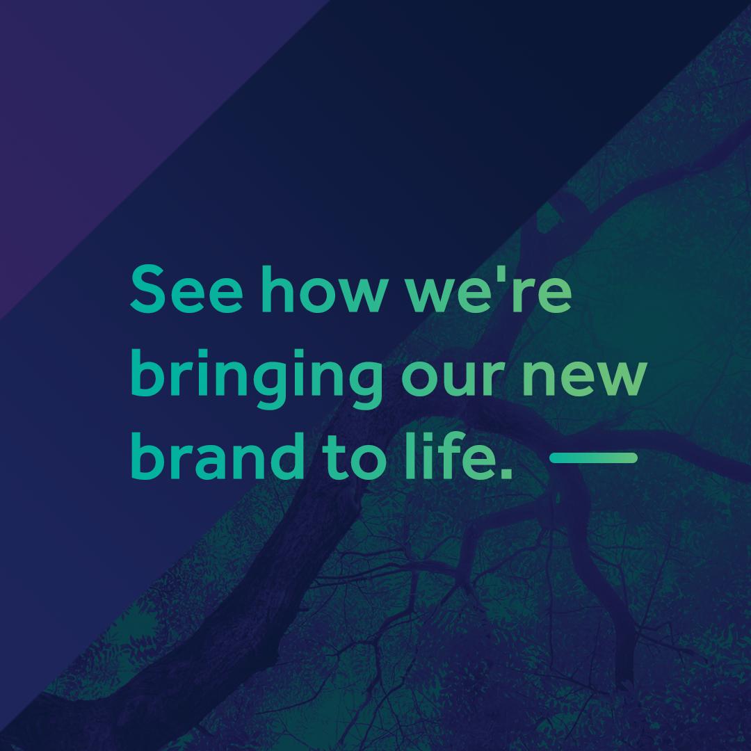 Veridian Connections tweet media