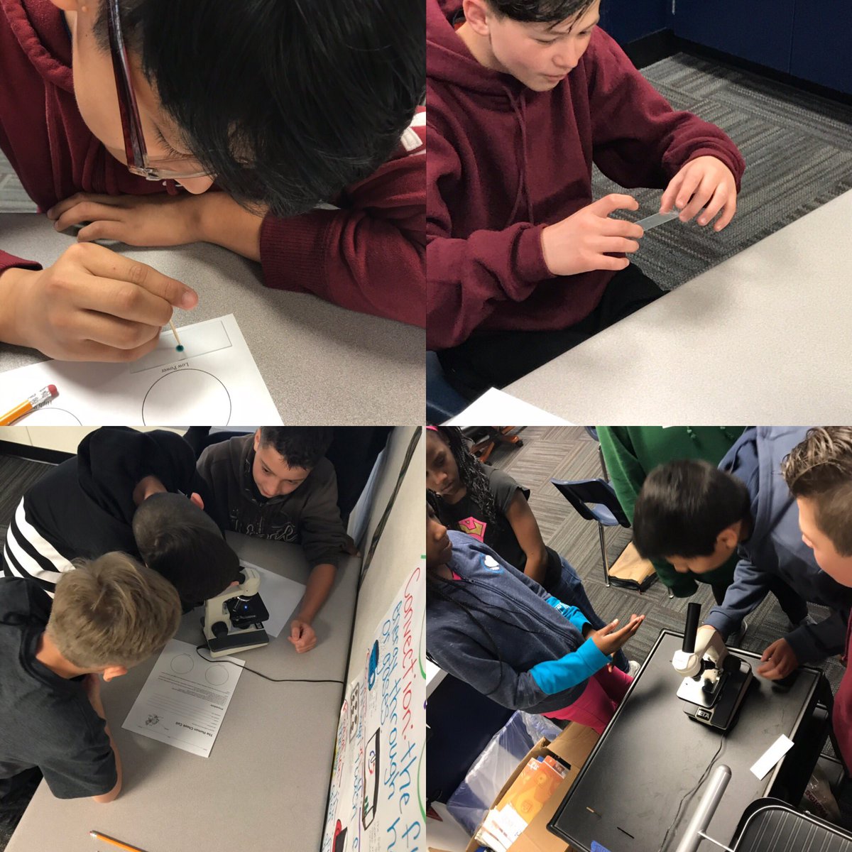 Keisha Telford (@kltelfor) on Twitter photo Checking out our cheek cells. <a href="/RochellRangers/">Rochell Elementary</a> #rochellerocks #6thgradescience #eukaryoticcells Checking out our cheek cells. <a href="/RochellRangers/">Rochell Elementary</a> #rochellerocks #6thgradescience #eukaryoticcells