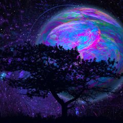PhilHenryPG's tweet photo. Everything will be set right by the cross. Not some things. Not most things. Everything. God will be all in all. All things will be subject to Him. #1Cor. 15:28 #Philippians 3:21 #Allthings #Godisall #Godinall #PowerTweet #PowerGospel https://t.co/R0F1GX7pGe https://t.co/lHF2mc4TPG