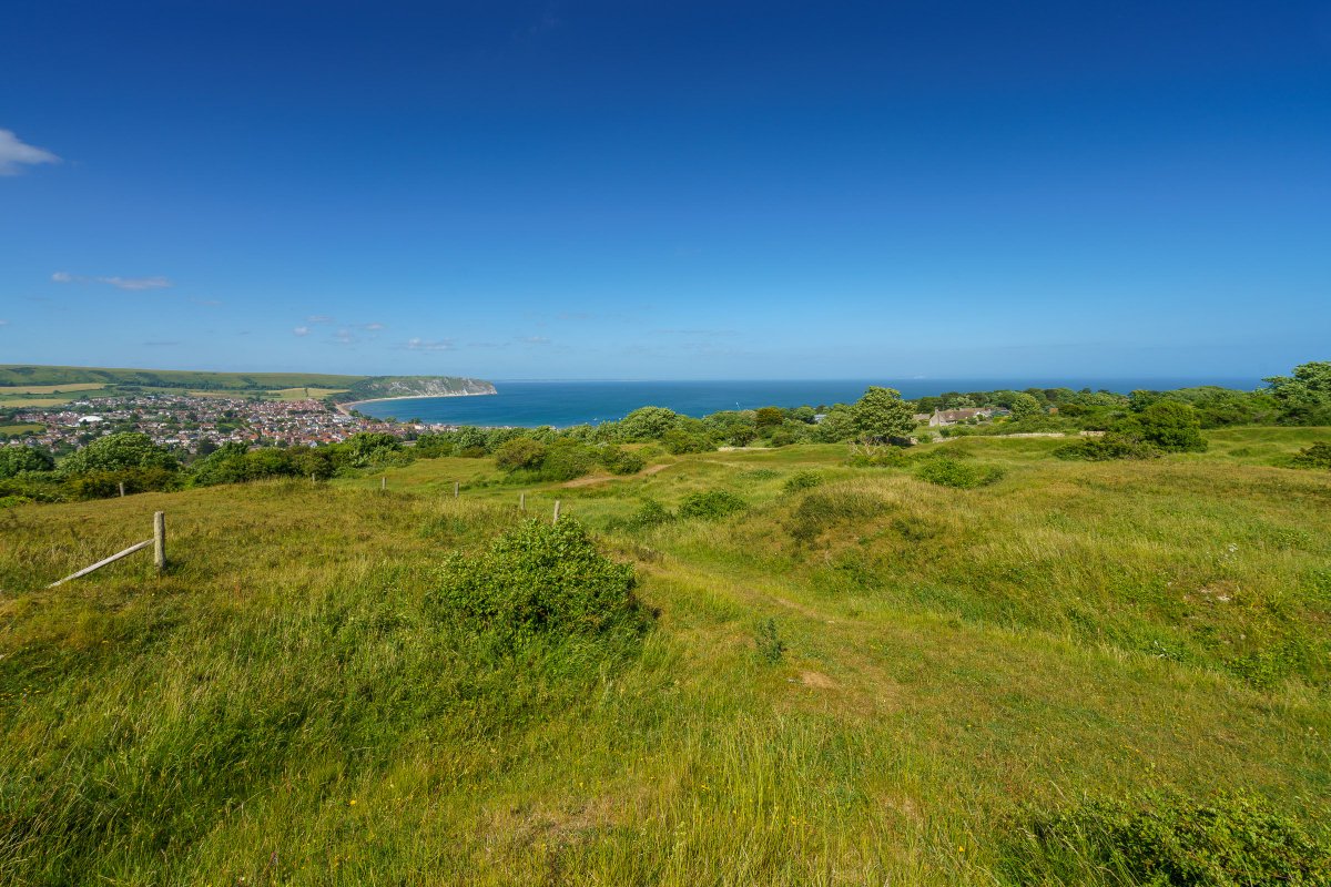 Swanagebayview's tweet photo. Escape to #Dorset https://t.co/YV4BEPmQvs