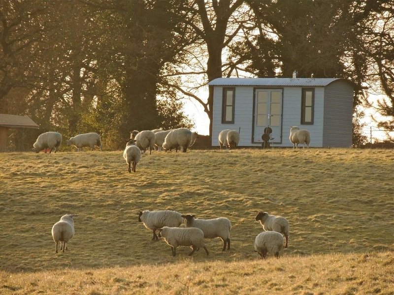 GGOwners's tweet photo. Want a Shepherd Hut? Find out about this rental share scheme: https://t.co/GP4QqsrmhT https://t.co/lRU8wdMKpp