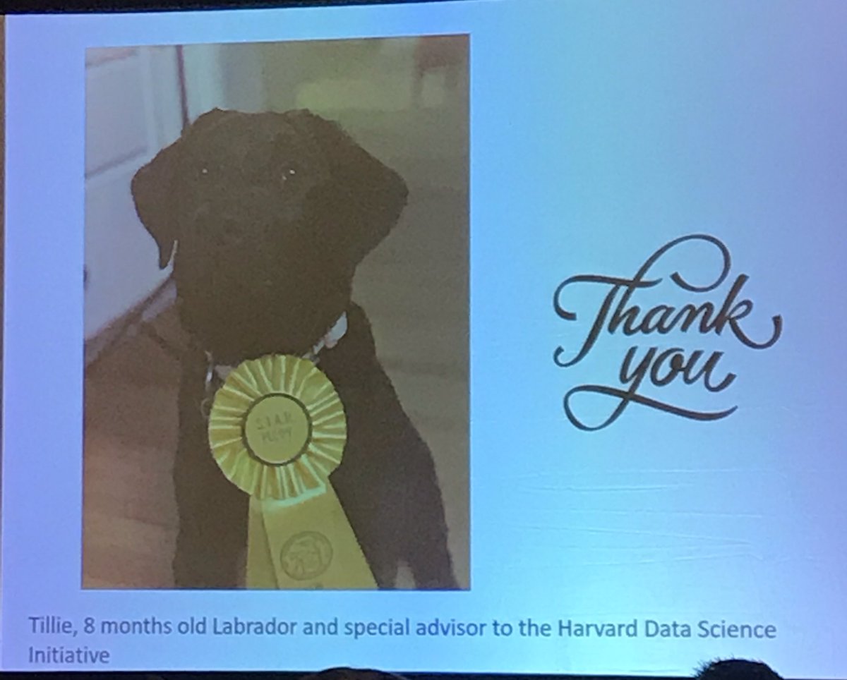 backerman150's tweet photo. I stan Tillie, the #datascience dog! 😍🐶@francescadomin8 #ENAR2019 #Rdogs https://t.co/gYlQBIAw6k