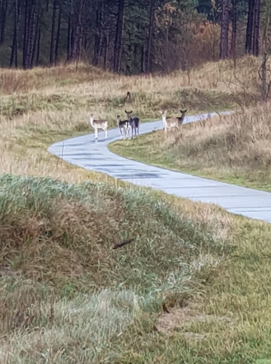 Ploggingdag 20 april