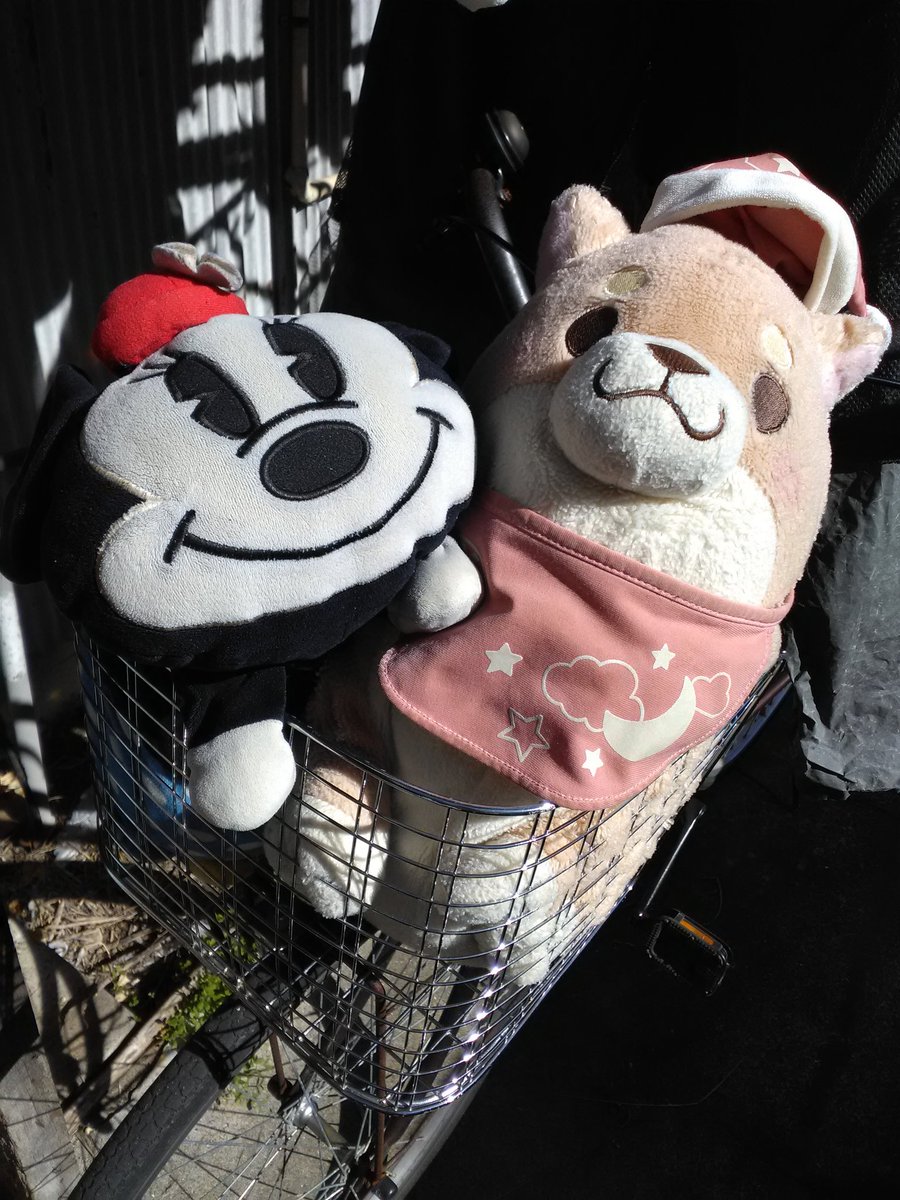 さくら@もちしばごしゅじん会所属 tweet media