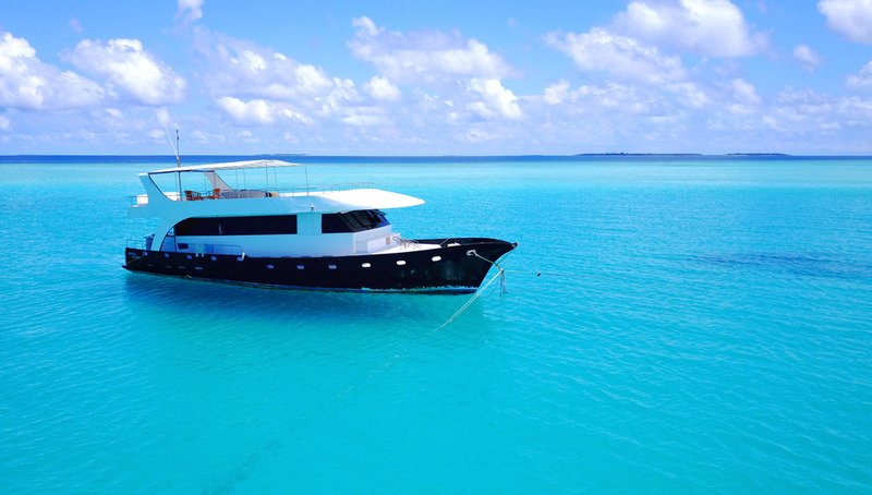 VesselDocument's tweet image. Where should I put the official number on my documented vessel? vesseldocumentation.us/us-vessel-answ…
#vesseldocumentation #uscgdocumentedvessel #boatdocumentation #uscgdocumentation