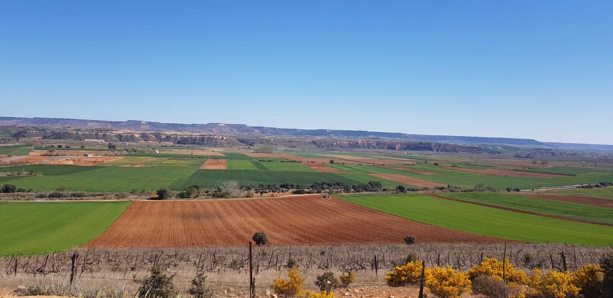 fecsjvmu's tweet photo. Aprender, disfrutar, reír 😆, aprender, jugar,... todo esto en plena naturaleza 🌳🌿 🇬🇧@farmcamp_ancora #inmersionlingüística https://t.co/DeHIWuCqVh