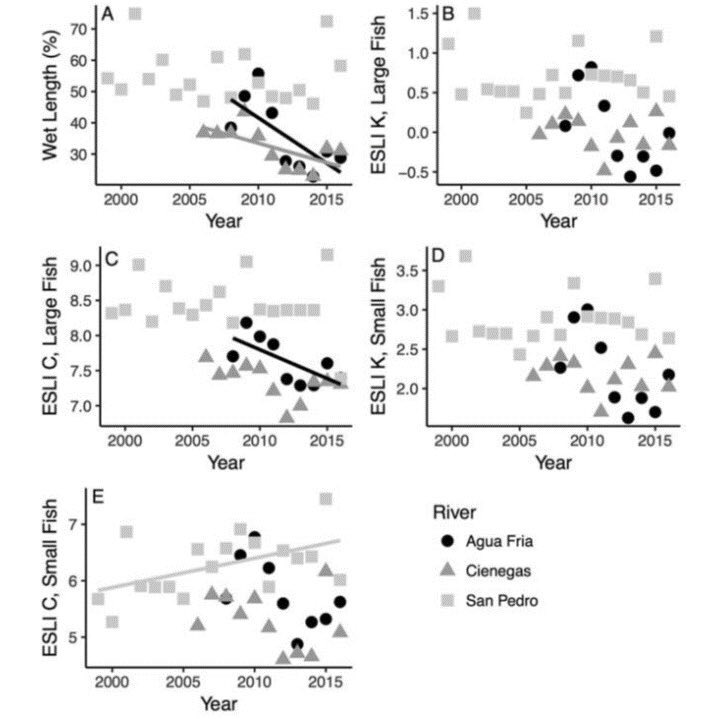 Long-term streamflow and habitat connectivity declines documented by community members volunteering in AZ —
great new #citizenscience study from @danallenOU et al! journals.uchicago.edu/doi/abs/10.108…