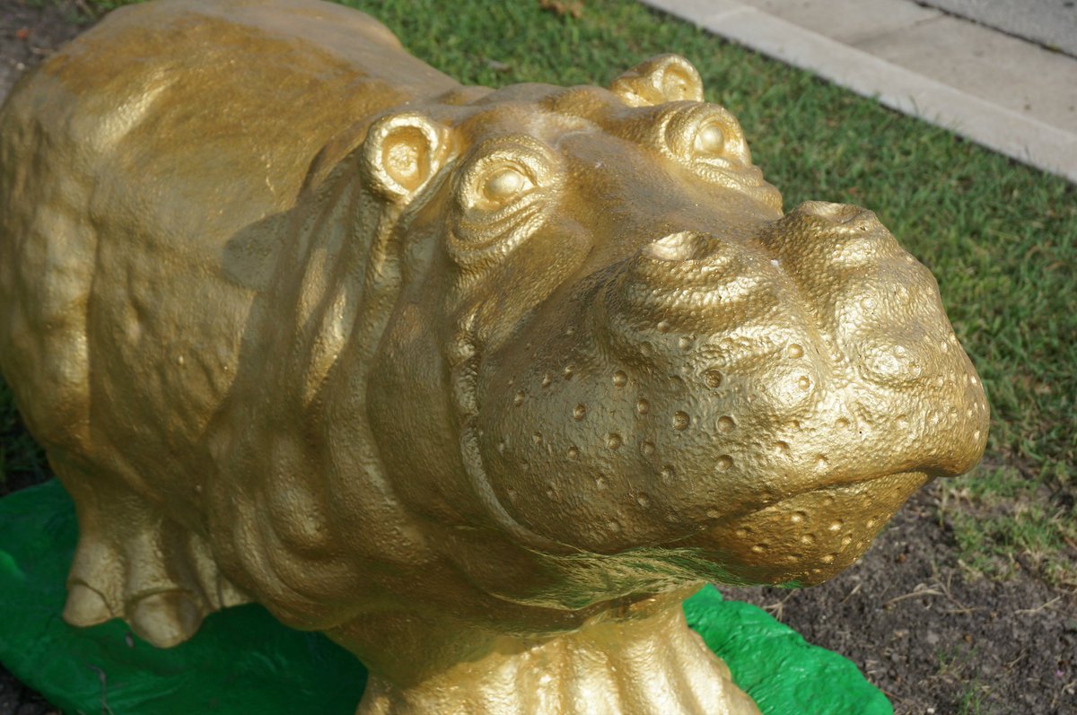 HuttoInsurance's tweet image. The @beautifulhutto 's Great Hutto Cleanup is less than 2 weeks away! Have you signed up yet to volunteer? There is still time to sign up
Register today:
keephuttobeautiful.org/2019greathutto…
#keephuttobeautiful #trashpickup #junkhauloff #walkerinsurance #hipponation #greathuttocleanup