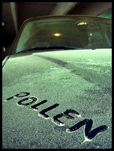 shacollision's tweet photo. It’s that time of the year again! 🤦‍♂️Checkout this article on how to safely remove pollen from your car, and save your paint! https://t.co/YMuDRqeT8T #SugarHillAutoCollision #Shacollision #pollenseason #yellowcars #allergies https://t.co/LZeb6U4REB