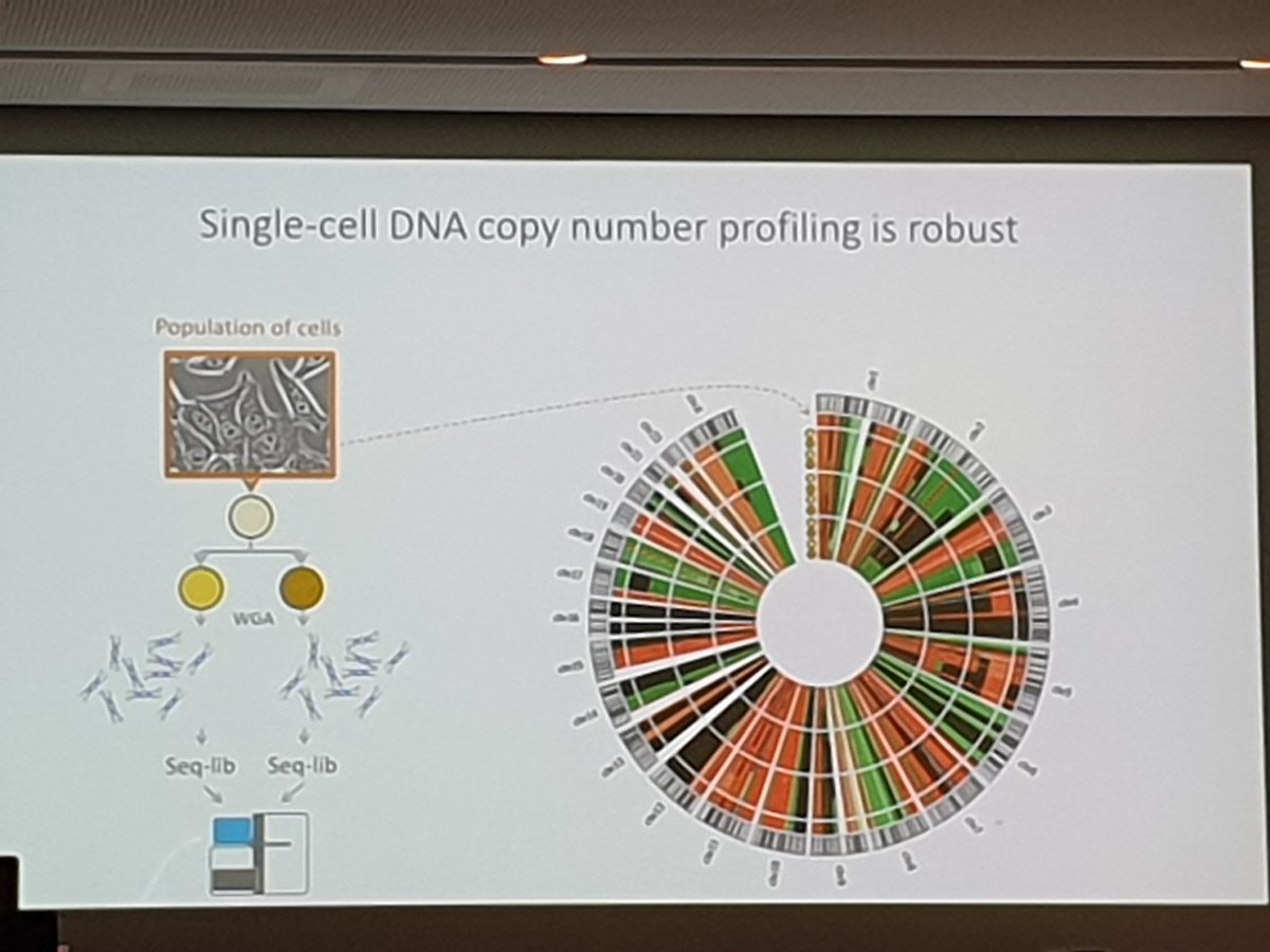GregBioGenomics's tweet photo. Last but not least at #RNGS19: Thierry Voet for an update on single cell copy number profiling evolving towards multi-omics integrative analysis! #singlecellforce #CME https://t.co/E1d5hShiJ1