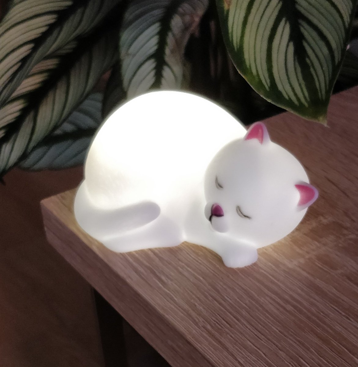 trendaffe.de tweet media