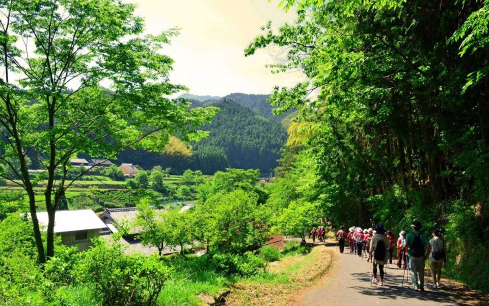 We know of #wellnesstravel, but have you head of entire areas being named as wellness tourist zones. This is an example of companies working together to provide an overall package for wellness travel.  buff.ly/2O6rin7 #hospitality #lookdifferently #parallaxhospitality
