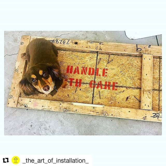 ConstantineLtd's tweet photo. Not our usual shipment...🤔 but we couldn't resist sharing this little one today! #freight
・・・
#Repost @_the_art_of_installation_
Tuesday from @tubeythedog - ... handle with care ... - #gallerydog #showchange #artfairdreams #theecstacyofarthandling … https://t.co/pUerRVo7ZW https://t.co/DPJXVvHIY7