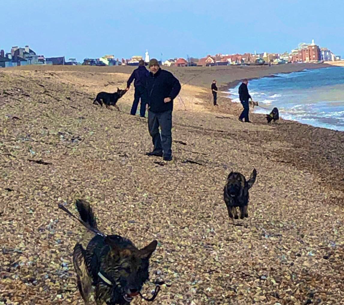MetTaskforce's tweet photo. After a hard days training in Kent, South East D relief dogs and handlers unwind on Deal beach ๐ฆ๐!
#pdsuggs #pdsherpa #pdkaiser #pdblitz #tpdrose #pdblaine #pdhector #pdyara #tpdremus
#unwind #swimming https://t.co/SFpDcdNS8u