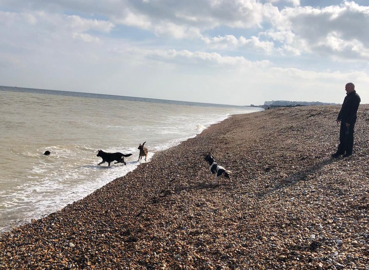 MetTaskforce's tweet photo. After a hard days training in Kent, South East D relief dogs and handlers unwind on Deal beach ๐ฆ๐!
#pdsuggs #pdsherpa #pdkaiser #pdblitz #tpdrose #pdblaine #pdhector #pdyara #tpdremus
#unwind #swimming https://t.co/SFpDcdNS8u