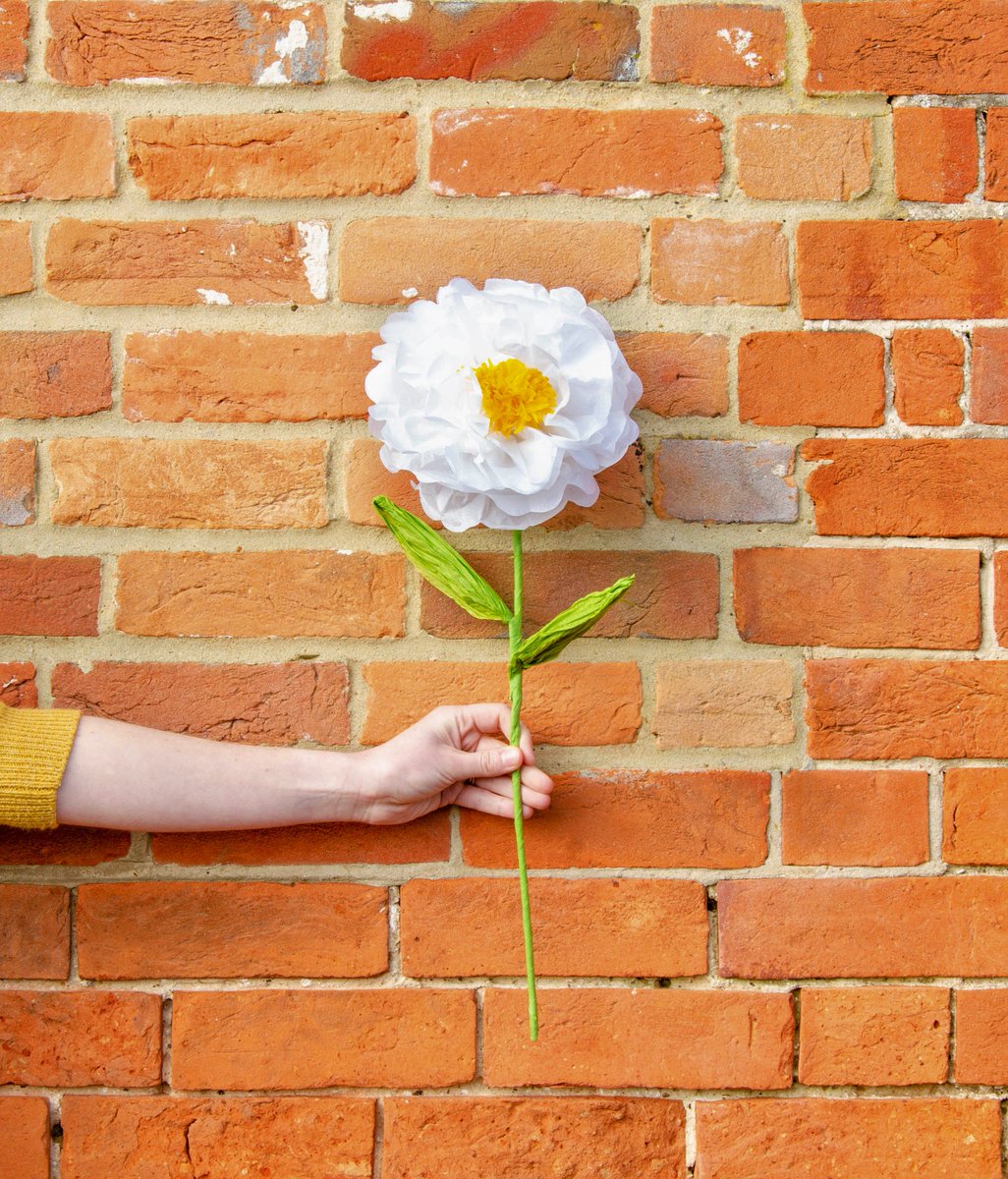 Lovely fluffy paper flowers, ideal for adding a dainty decorative touch to your home this spring! (We’ve already got one or two set up in the office since they’re so pretty!). Perfect for upcoming Easter too! 

Take a look! - ow.ly/MGE830ocjYm

Where would you place them?