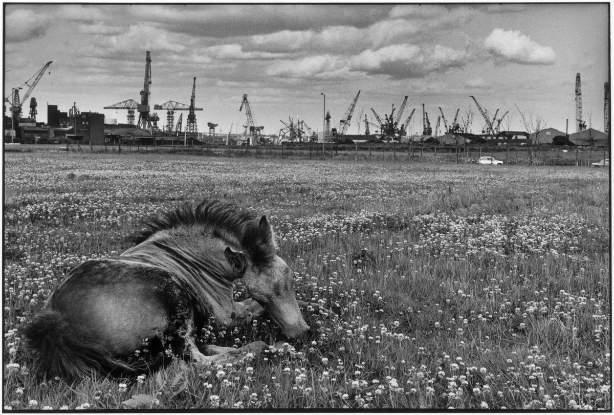 MagnumPhotos tweet picture