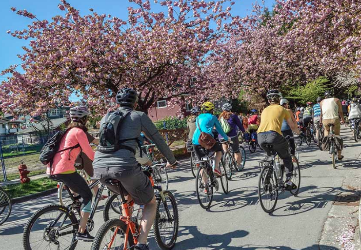 Destination Vancouver tweet media