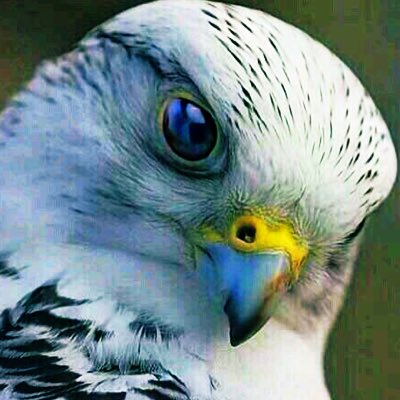 NaassN1's tweet photo. #صورة_جديدة_للملف_الشخصي https://t.co/MY2gqG70i5