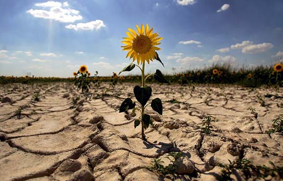 adeurresti's tweet photo. Como ha dicho el secretario general de la ONU: "Somos la primera generación que entiende el Cambio Climático y la última que puede hacer algo al respecto". En el #DíaDelClima debemos tomar conciencia de la urgencia de trabajar en unidad para mitigar el Cambio Climático https://t.co/KKzR8Cnknj