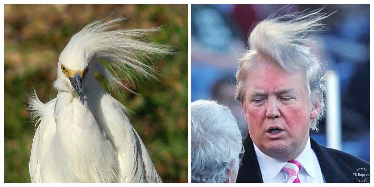 mcfrost67's tweet photo. When you get your hair did on a windy day. https://t.co/VlFWzUCNpS