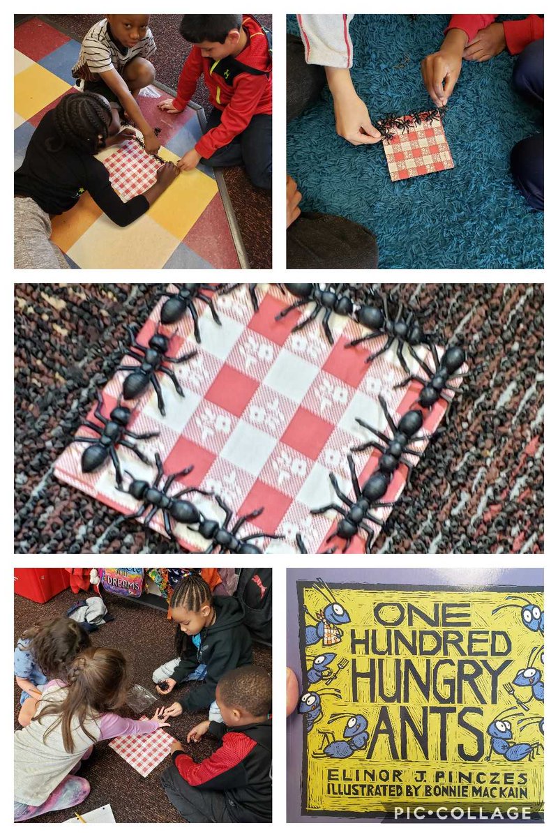 MsCalhounsClass's tweet photo. Fun with Perimeter! @CatawbaTrail #ctelearning https://t.co/ccOD9zTVIq