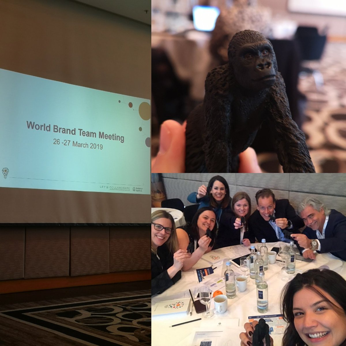 Carmen_Castells's tweet photo. We won the Gorilla!! #collegues #countries #letscollaborate #team #marketing #medical #alwayscompetitive https://t.co/oCdcw2WPob