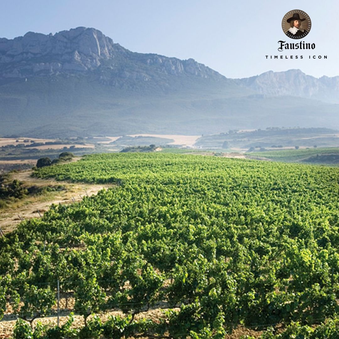 No plans for #Easter? Here's an idea: why not plan a road trip through Spain's Rioja region to visit our wineries? 🚗 We guarantee stunning landscapes, unique tasting experiences, and everything that can make an œnophile’s dream come true! #VisitLaRioja 🍷