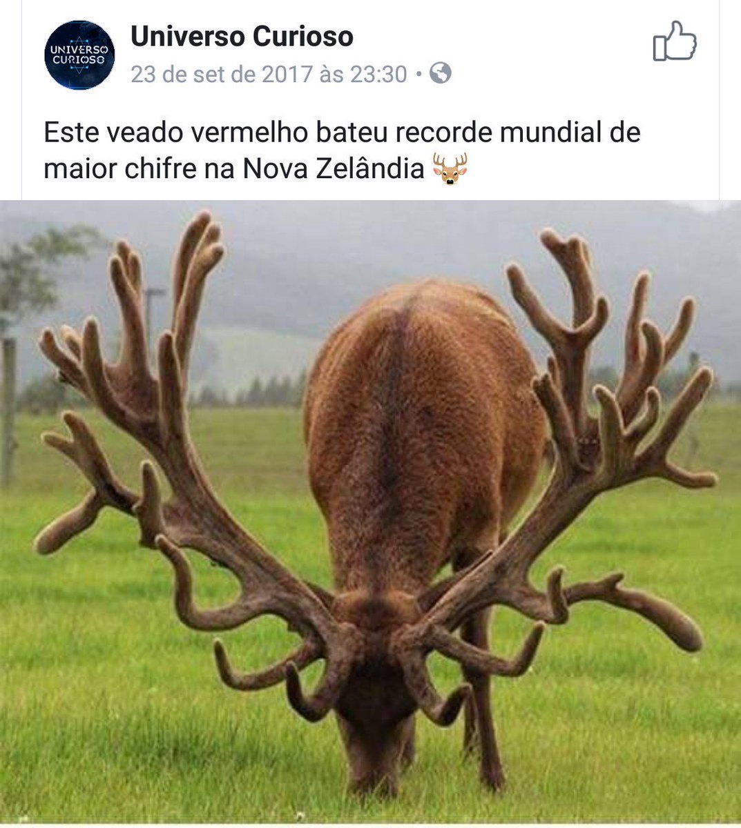 ClarissaYorke's tweet photo. isso é pq eles não me conheceram rs https://t.co/u8ic6dQ8nP