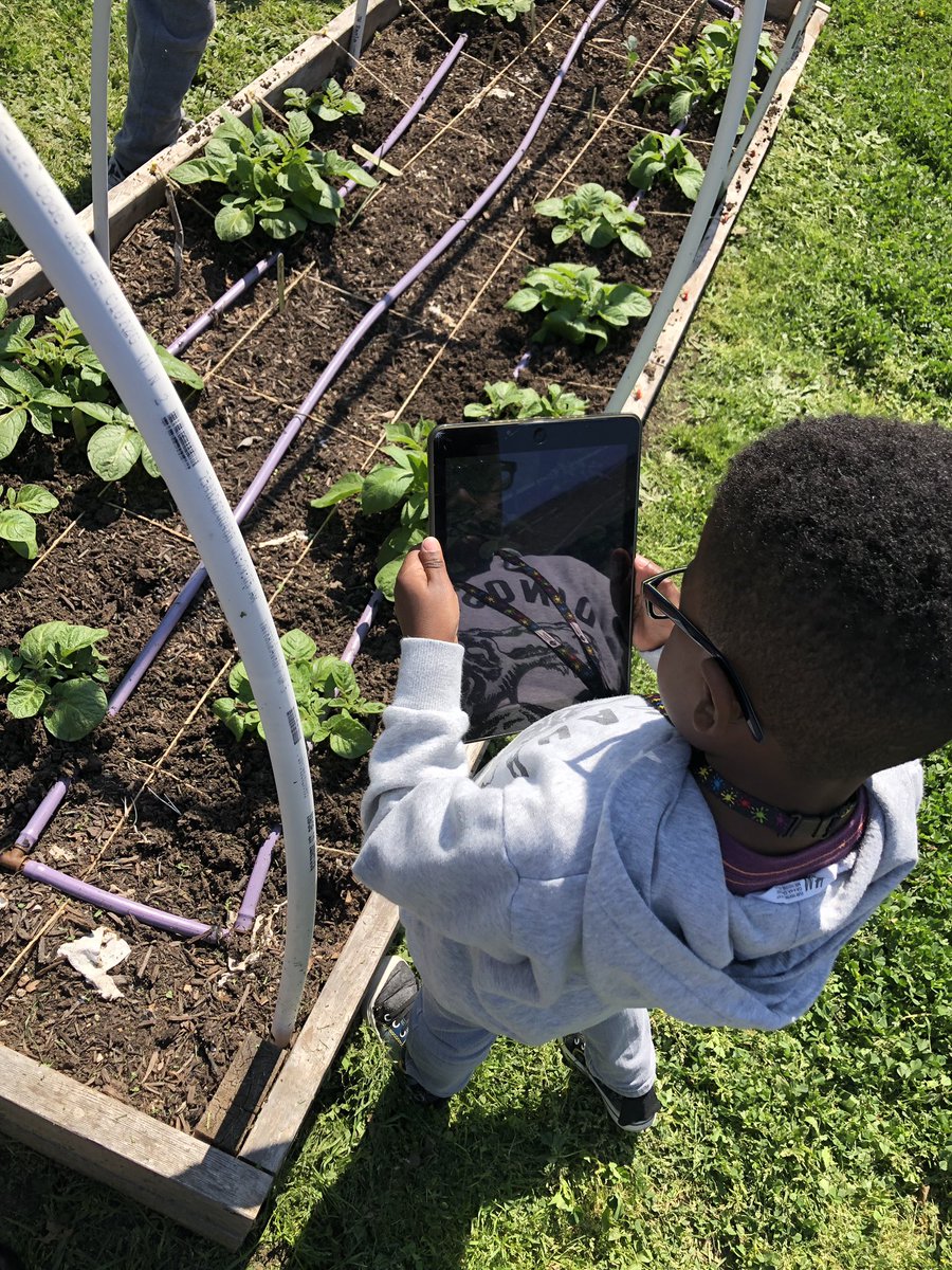 MissRiceTCE's tweet photo. K3 shape detectives are on the hunt for  shapes in our @TCEgarden! #tcetexans #cisdcoverstory https://t.co/EY99BYdqH2