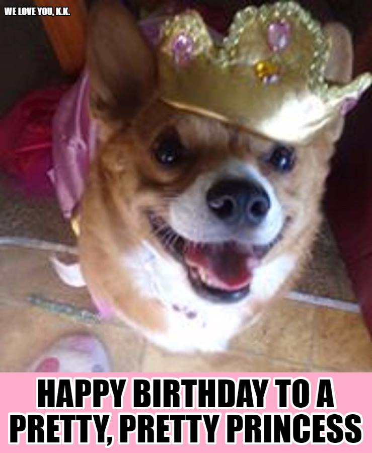 Happy Birthday to Nancy Pelosi. From me and my prissy corgi. 